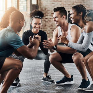 3 Day Gym Workout Program